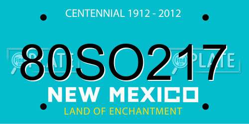 80SO217 New Mexico License Plate