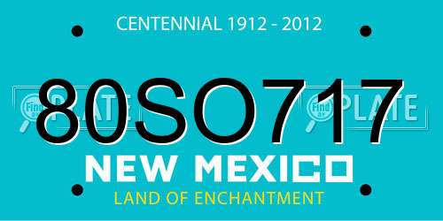 80SO717 New Mexico License Plate