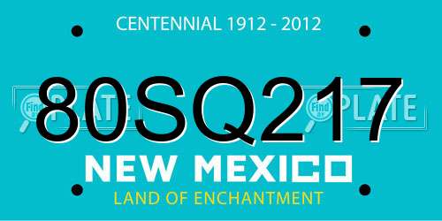 80SQ217 New Mexico License Plate