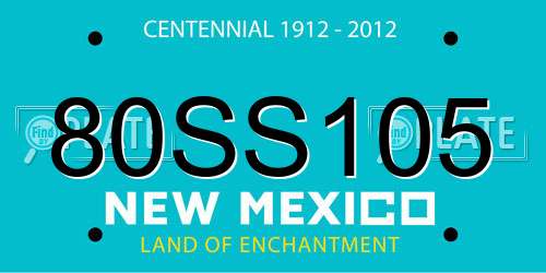 80SS105 New Mexico License Plate