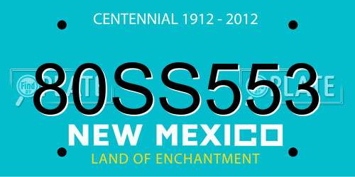 80SS553 New Mexico License Plate