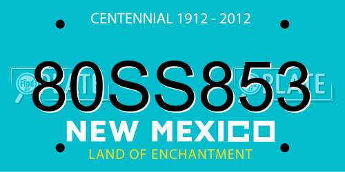 80SS853 New Mexico License Plate