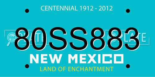 80SS883 New Mexico License Plate