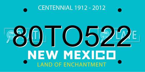 80TO522 New Mexico License Plate