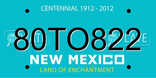 80TO822 New Mexico License Plate