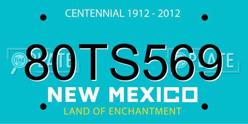 80TS569 New Mexico License Plate