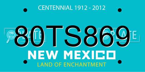 80TS869 New Mexico License Plate