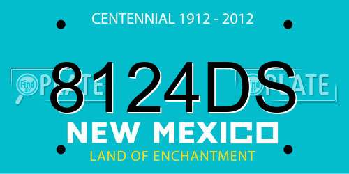 8124DS New Mexico License Plate