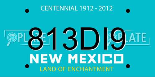 813DI9 New Mexico License Plate