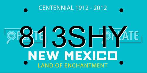 813SHY New Mexico License Plate