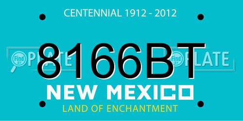 8166BT New Mexico License Plate