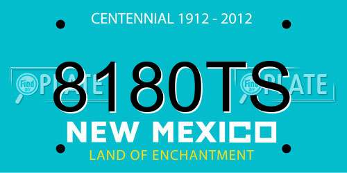 8180TS New Mexico License Plate