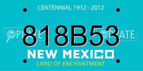 818B53 New Mexico License Plate