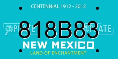 818B83 New Mexico License Plate