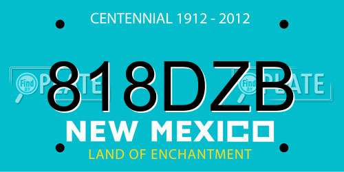 818DZB New Mexico License Plate