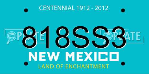 818SS3 New Mexico License Plate