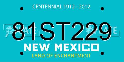 81ST229 New Mexico License Plate