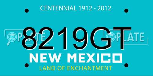 8219GT New Mexico License Plate