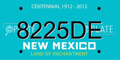 8225DE New Mexico License Plate