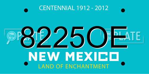 8225OE New Mexico License Plate