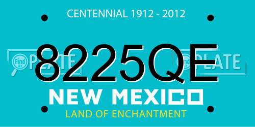 8225QE New Mexico License Plate