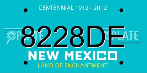 8228DE New Mexico License Plate