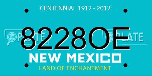 8228OE New Mexico License Plate