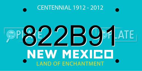 822B91 New Mexico License Plate
