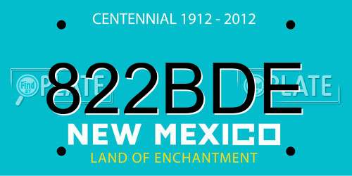 822BDE New Mexico License Plate
