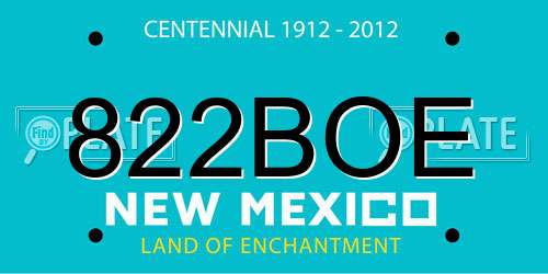 822BOE New Mexico License Plate