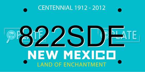 822SDE New Mexico License Plate