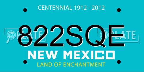822SQE New Mexico License Plate