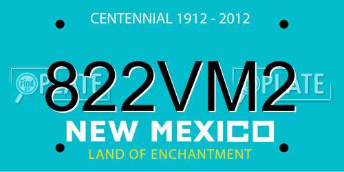 822VM2 New Mexico License Plate