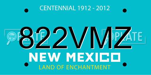 822VMZ New Mexico License Plate
