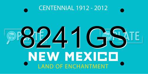 8241GS New Mexico License Plate