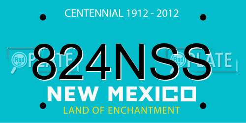 824NSS New Mexico License Plate