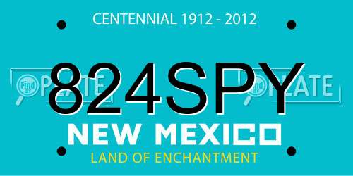 824SPY New Mexico License Plate