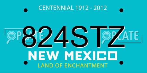 824STZ New Mexico License Plate