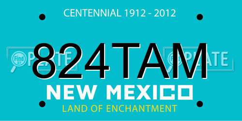 824TAM New Mexico License Plate