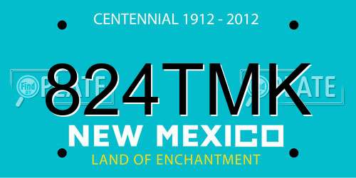824TMK New Mexico License Plate