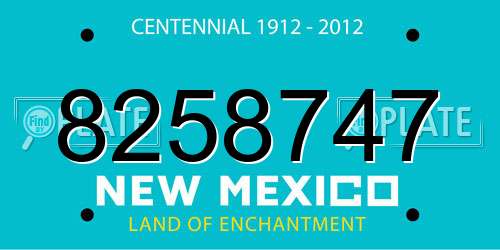 8258747 New Mexico License Plate