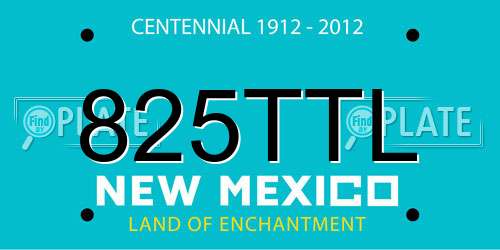 825TTL New Mexico License Plate