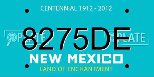 8275DE New Mexico License Plate