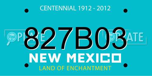 827B03 New Mexico License Plate