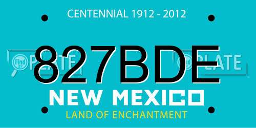 827BDE New Mexico License Plate