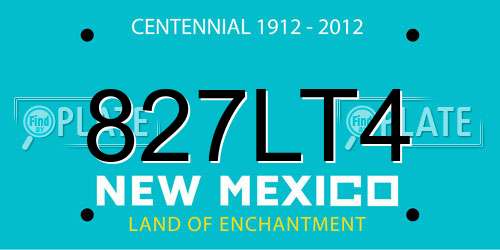 827LT4 New Mexico License Plate
