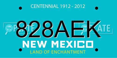 828AEK New Mexico License Plate