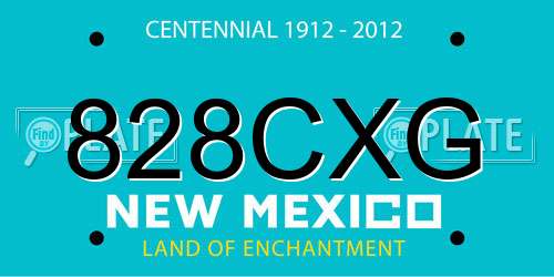 828CXG New Mexico License Plate