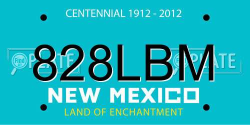 828LBM New Mexico License Plate