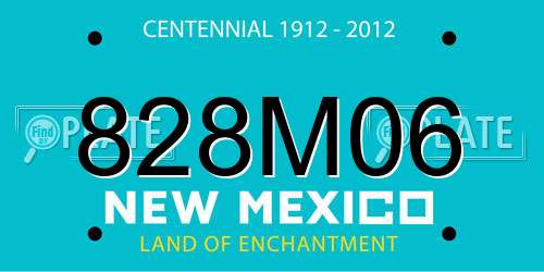 828M06 New Mexico License Plate